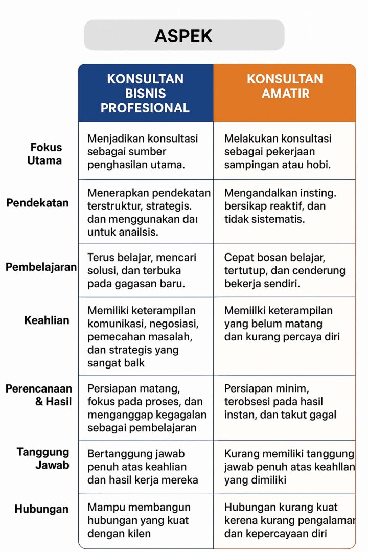 Perbedaan Antara Konsultan Bisnis Profesional Dan Amatir